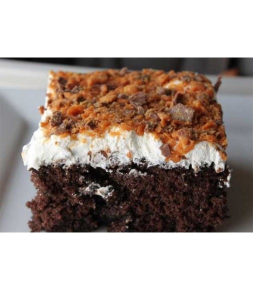 Chocolate Butterscotch Ice Cream Cake